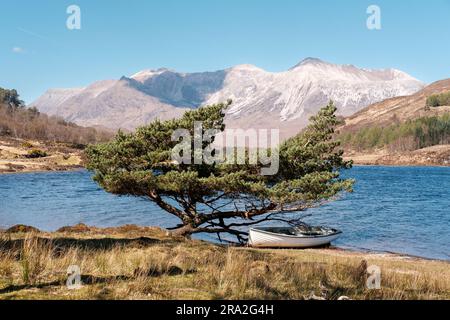 Ruderboot unter einem Baum am Loch Coulin in der Gegend von Torridon der Nordwesthochländer Schottlands. Beinn Eighe im Hintergrund. Stockfoto