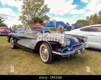 Der alte Chevrolet Corvette C1 in Schwarz und Weiß, das zweitürige Cabrio 1958 auf dem Rasen. Stockfoto