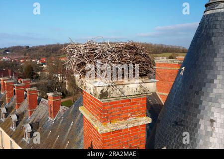 Frankreich, Meurthe et Moselle, Saintois, Haroué, Nahaufnahme eines Nestes weißer Storche (Ciconia ciconia) auf der Burg Haroué (Luftaufnahme) Stockfoto