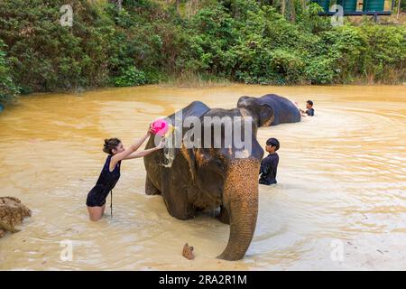 Thailand, Krabi Provinz, KohLanta yai Insel, Lanta Elephant Sanctuary, junge Frau, die einen Elefanten besprüht Stockfoto