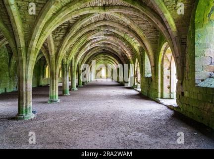 Detail der gewölbten Cellareumdecke der Fountains Abbey in Yorkshire, Großbritannien Stockfoto