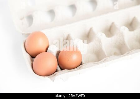 Detailansicht eines offenen Eierkarton aus recyceltem Karton mit einigen Eiern auf weißem Hintergrund und Kopierbereich. Stockfoto