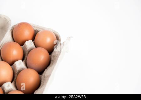 Detaildarstellung einer offenen Eierkarton aus recyceltem Karton mit Eiern auf weißem Hintergrund und Kopierbereich. Stockfoto