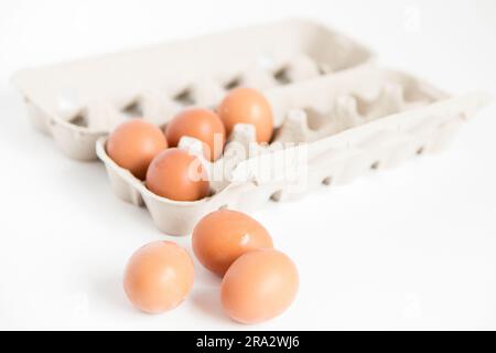 Detailansicht des offenen Eierkarton aus recyceltem Karton mit Eiern innen und außen auf weißem Hintergrund mit Kopierbereich. Stockfoto