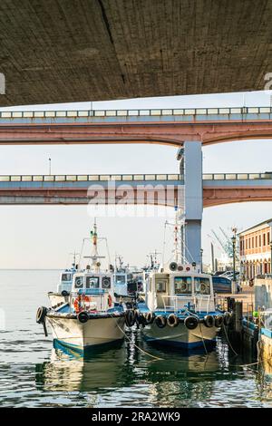 Genießen Sie den Blick auf zwei Reihen japanischer Fischerboote, die am Ufer im Meriken Park, Kobe, vor Anker liegen. Drei große Übergänge über uns. Ruhiges Meer, blauer Himmel. Stockfoto