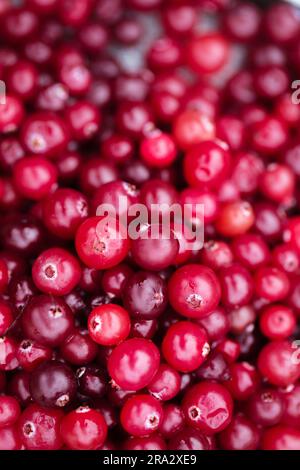 Reife saftige wilde Beeren Cranberries aus der Nähe, Draufsicht Stockfoto