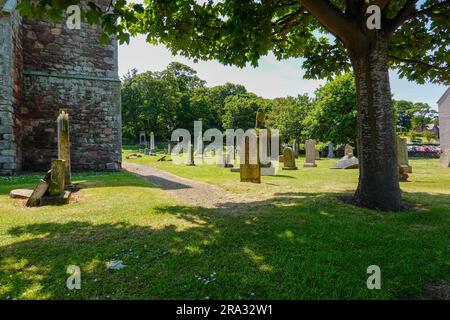 Grabsteine in Old St. Andrew's Kirk Ports Yard, North Berwick, East Lothian, Schottland, Vereinigtes Königreich. Stockfoto