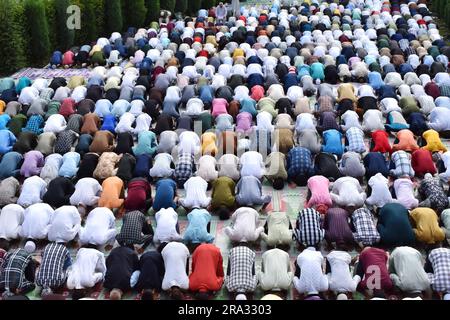 Srinagar, Indien. 29. Juni 2023. Kaschmirische Moslems veranstalten besondere Eid-Gebete in einer Moschee anlässlich von Eid-Al-Adha (Bakra Eid). Eid al-Adha ist ein religiöses Fest, das von Moslems weltweit gefeiert wird, um der Bereitschaft des Propheten Ibrahim zu gedenken, seinen Sohn als Gehorsam gegenüber Gott zu opfern. Am 29. Juni 2023 in Srinagar, Indien. (Kreditbild: © Umer Qadir/Eyepix via ZUMA Press Wire) NUR REDAKTIONELLE VERWENDUNG! Nicht für den kommerziellen GEBRAUCH! Stockfoto