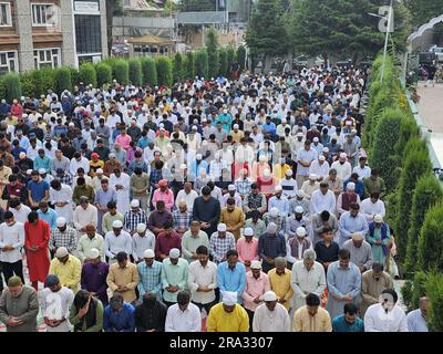 Srinagar, Indien. 29. Juni 2023. Kaschmirische Moslems veranstalten besondere Eid-Gebete in einer Moschee anlässlich von Eid-Al-Adha (Bakra Eid). Eid al-Adha ist ein religiöses Fest, das von Moslems weltweit gefeiert wird, um der Bereitschaft des Propheten Ibrahim zu gedenken, seinen Sohn als Gehorsam gegenüber Gott zu opfern. Am 29. Juni 2023 in Srinagar, Indien. (Kreditbild: © Umer Qadir/Eyepix via ZUMA Press Wire) NUR REDAKTIONELLE VERWENDUNG! Nicht für den kommerziellen GEBRAUCH! Stockfoto