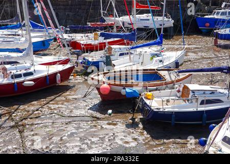 Segelboote, Sportboote, die sich bei Ebbe im Schlamm ausruhen, im Hafen von Barwick, East Lothian, Schottland, Großbritannien. Stockfoto