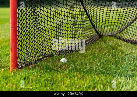 Nachmittagsfoto eines Lacrosse-Tors mit weißem Ball auf einem natürlichen Rasenfeld. Stockfoto