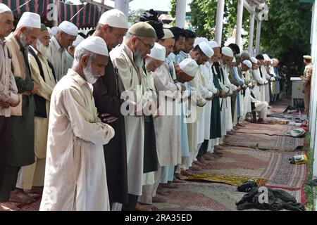 Nicht exklusiv: 29, Juni 2023, Srinagar, Indien: Kaschmirische Muslime bieten besondere Eid-Gebete in einer Moschee anlässlich des Eid-Al-Adha (Bakra Eid) an. E Stockfoto