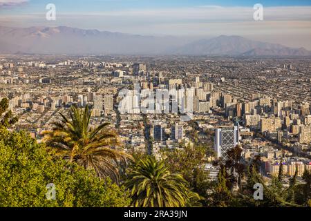 Abendliche Atmosphäre mit Palmen und spektakulärem Blick auf die Stadt Santiago de Chile auf die Stadt und die Anden vom Aussichtspunkt Cerro San Cristo Stockfoto