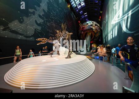 Natural History Museum in London, Inneneinrichtung des Museums mit Dinosaurierskeletten. Dippy ist der berühmteste. Hope, das Walskelett ist auch beliebt. Stockfoto