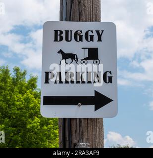 An einem sonnigen Sommertag an einem Telefonmast in Frewsburg, New York, USA, ein Hinweisschild zum Parken von Amish Buggy Stockfoto