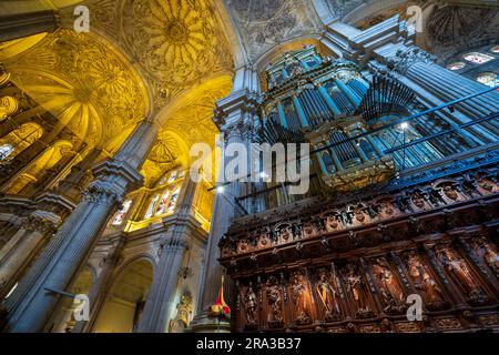 Weitwinkelfoto der inneren Orgel und des Chors der Kathedrale von Malaga, auch bekannt als die Kathedrale der Inkarnation von Malaga. Erstaunliche Architektur. Stockfoto