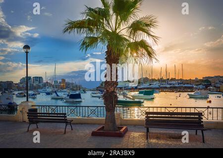 Sliema, Malta - wunderschöner Sonnenaufgang mit zwei Bänken, einer Palme, Wohnhäusern und Booten, die an einem Sommermorgen mit blauem Himmel in der Bucht von Sliema anlegen Stockfoto