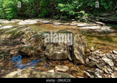 Große Felsbrocken in einer Reihe inmitten des flachen Bachs, umgeben von Felsen und fließendem Wasser im Bergwald an einem sonnigen Tag Stockfoto