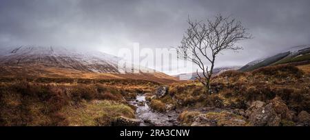 Isle of Skye, Schottland - Panoramablick auf einen einsamen Baum in den Fairy Pools an einem verschneiten Tag auf der Isle of Skye Stockfoto