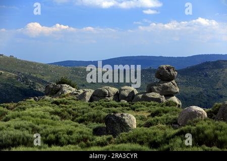 Das Chaos der Steine, in der Nähe des Col de Finiels. Cevennes, Mont Lozere, Occitanie, Frankreich Stockfoto