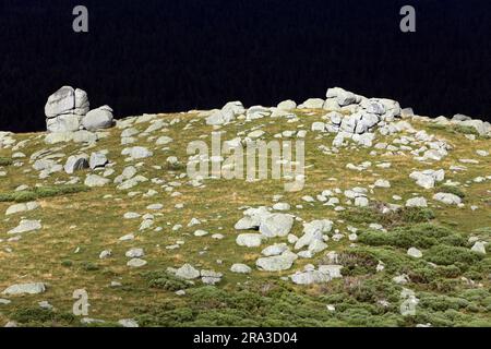 Das Chaos der Steine, in der Nähe des Col de Finiels. Cevennes, Mont Lozere, Occitanie, Frankreich Stockfoto