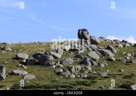 Das Chaos der Steine, in der Nähe des Col de Finiels. Cevennes, Mont Lozere, Occitanie, Frankreich Stockfoto