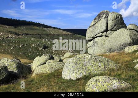 Das Chaos der Steine, in der Nähe des Col de Finiels. Cevennes, Mont Lozere, Occitanie, Frankreich Stockfoto