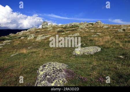 Das Chaos der Steine, in der Nähe des Col de Finiels. Cevennes, Mont Lozere, Occitanie, Frankreich Stockfoto