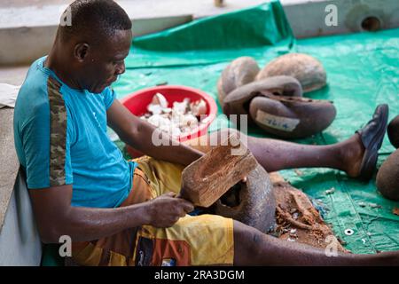 Fabrik der Coco de mer Sammlungen, Mann entfernt das Coco de mer Fleisch (pflanzliches Elfenbein) in der Schale, indem er das harte Fleisch hämmert Stockfoto