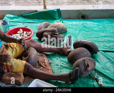 Fabrik der Coco de mer Sammlungen, Mann entfernt das Coco de mer Fleisch (pflanzliches Elfenbein) in der Schale, indem er das harte Fleisch hämmert Stockfoto