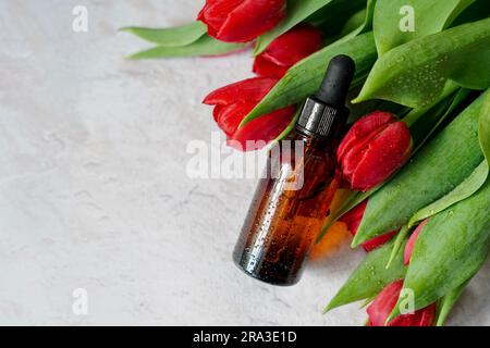 Kosmetische Glasflasche mit Öl und roten Tulpen mit Wassertropfen auf hellem Betonhintergrund. Kosmetika mit natürlichen Inhaltsstoffen. Pflanzliche homöopathische Pr Stockfoto