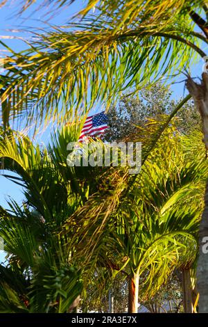 Amerikanische Flagge auf Palmenblättern an einem windigen, sonnigen Sommertag Stockfoto