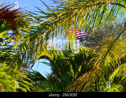 Amerikanische Flagge auf Palmenblättern an einem windigen, sonnigen Sommertag Stockfoto