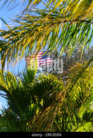 Amerikanische Flagge auf Palmenblättern an einem windigen, sonnigen Sommertag Stockfoto