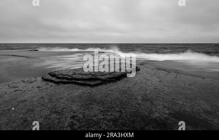 Eine Graustufenaufnahme von Neptun's Fields Naturschutzgebiet im Norden der Insel Oland, Schweden Stockfoto