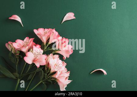 Alstroemeria-Rosa Blumen auf smaragdgrünem Hintergrund mit Kopierbereich. Draufsicht, flach liegend. Stockfoto