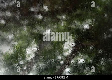 Regentropfen auf das Fenster, nasses Wetter Stockfoto