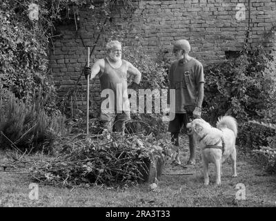 Erfahrene weiße Männer, die im Sommer Reben und Efeu, Pflanzen, Äste und Unkraut an einer Gartenwand schneiden. Den Garten mit der Gesellschaft von do reinigen Stockfoto