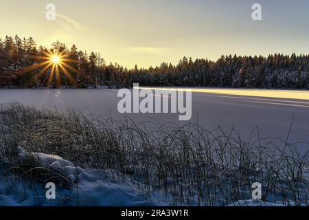 Winterlicher Sonnenaufgang am Etang de la Gruère im westlichen Schweizer Jura Stockfoto