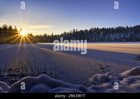 Winterlicher Sonnenaufgang am Etang de la Gruère im westlichen Schweizer Jura Stockfoto