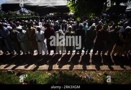 Srinagar, Indien. 29. Juni 2023. (6/29/2023) kaschmirische Moslems, die in Srinagar, der Sommerhauptstadt des von Indien verwalteten Kaschmirs, Eid al-Adha-Gebete führten. Eid al-Adha ist einer der beiden heiligsten muslimischen Feiertage, die jedes Jahr gefeiert werden. Es ist die jährliche muslimische Pilgerfahrt, um Mekka zu besuchen, den heiligsten Ort im Islam. (Foto: Mubashir Hassan/Pacific Press/Sipa USA) Guthaben: SIPA USA/Alamy Live News Stockfoto