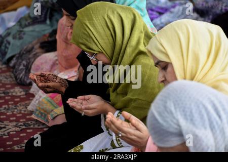 Srinagar, Indien. 29. Juni 2023. (6/29/2023) kaschmirische Moslems, die in Srinagar, der Sommerhauptstadt des von Indien verwalteten Kaschmirs, Eid al-Adha-Gebete führten. Eid al-Adha ist einer der beiden heiligsten muslimischen Feiertage, die jedes Jahr gefeiert werden. Es ist die jährliche muslimische Pilgerfahrt, um Mekka zu besuchen, den heiligsten Ort im Islam. (Foto: Mubashir Hassan/Pacific Press/Sipa USA) Guthaben: SIPA USA/Alamy Live News Stockfoto