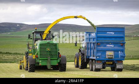 Silageherstellung auf einem Milchbetrieb auf der Orkney Island mit einem selbstfahrenden John Deere Erntemaschine, der einen Anhänger füllt, der von einem John Deere Traktor gezogen wird. Scotla Stockfoto