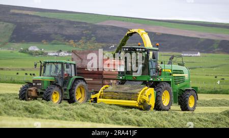 Silageherstellung auf einem Milchbetrieb auf der Orkney Island mit einem selbstfahrenden John Deere Erntemaschine, der einen Anhänger füllt, der von einem John Deere Traktor gezogen wird. Scotla Stockfoto