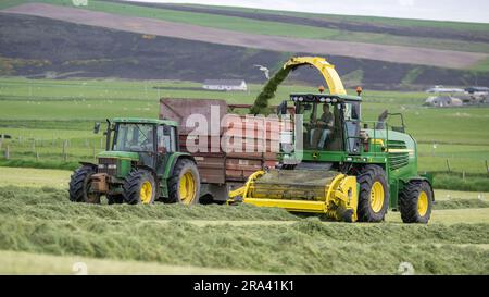 Silageherstellung auf einem Milchbetrieb auf der Orkney Island mit einem selbstfahrenden John Deere Erntemaschine, der einen Anhänger füllt, der von einem John Deere Traktor gezogen wird. Scotla Stockfoto