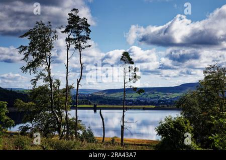 Ogden Reservoir, Grane Valley, Haslingden Stockfoto