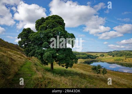 Haslingden Grane, Rossendale Stockfoto