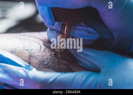 Extreme Nahaufnahme eines professionellen Künstlers, der ein Tattoo mit einem Nadel- und Tattoo-Konzept zeichnet. Hochwertiges Foto Stockfoto