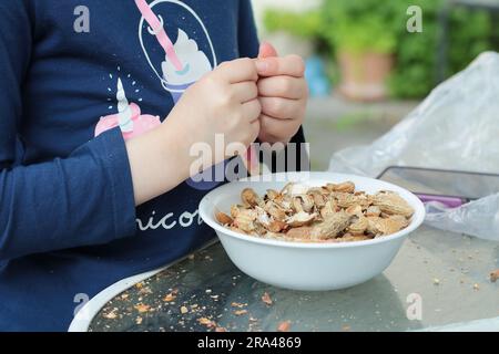 Ein junges Mädchen, das Erdnüsse in einen Teller im Garten schießt Stockfoto