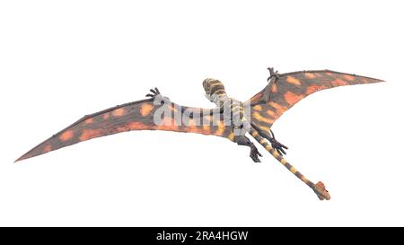 Peteinosaurus pterosaur, Illustration Stockfoto